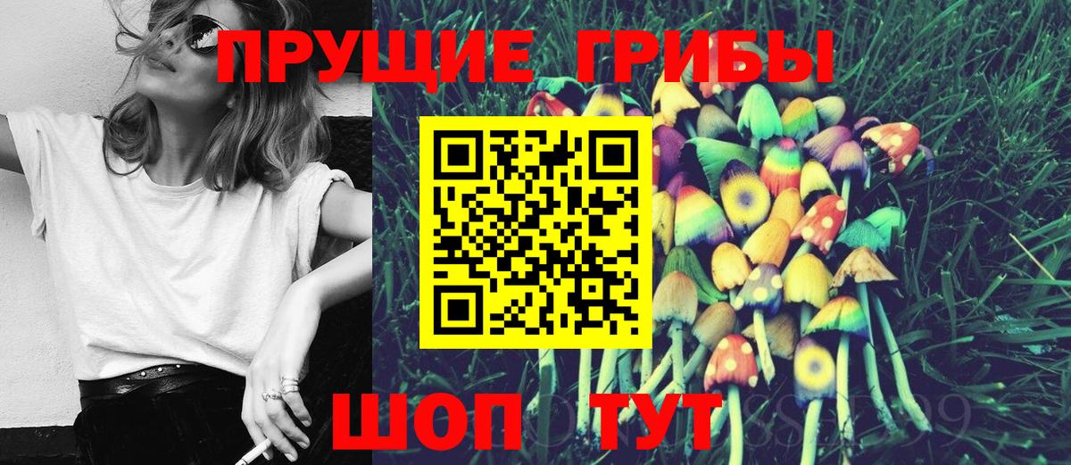 Галлюциногенные грибы GOLDEN TEACHER Нижнекамск