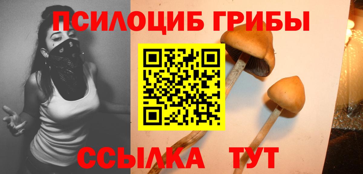 Псилоцибиновые грибы ЛСД  Галлюциногенные грибы GOLDEN TEACHER  Нижнекамск  Вход с VPN 